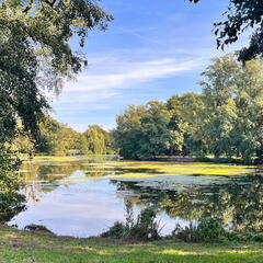 23-09-25 11-56-45 7419